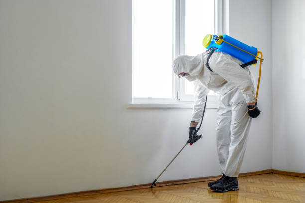 Insect Control in Oak Island, NC