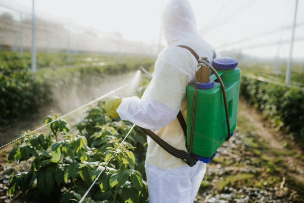 Flea Control Services in Oak Island, NC